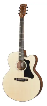 Gibson Generation G-200EC