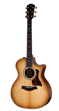 Taylor 50th Anniversary Builders Edition 314ce LTD - Natural